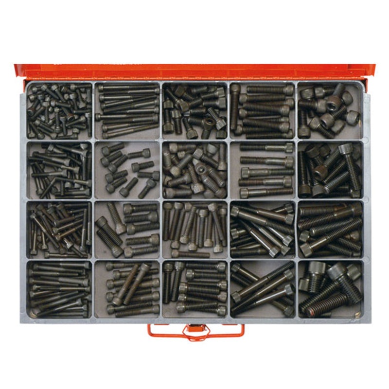 Champion Master Kit 300pc BSW 12.9 HT Skt Hd Cap Screw Asst