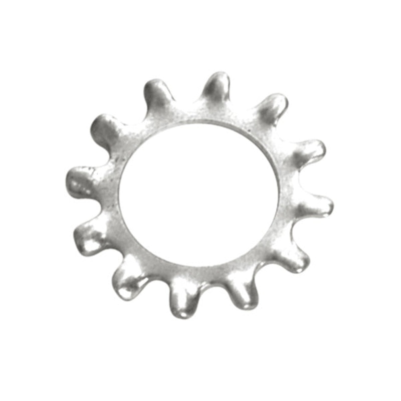 Champion 1/4in External Star Washer - 100pk