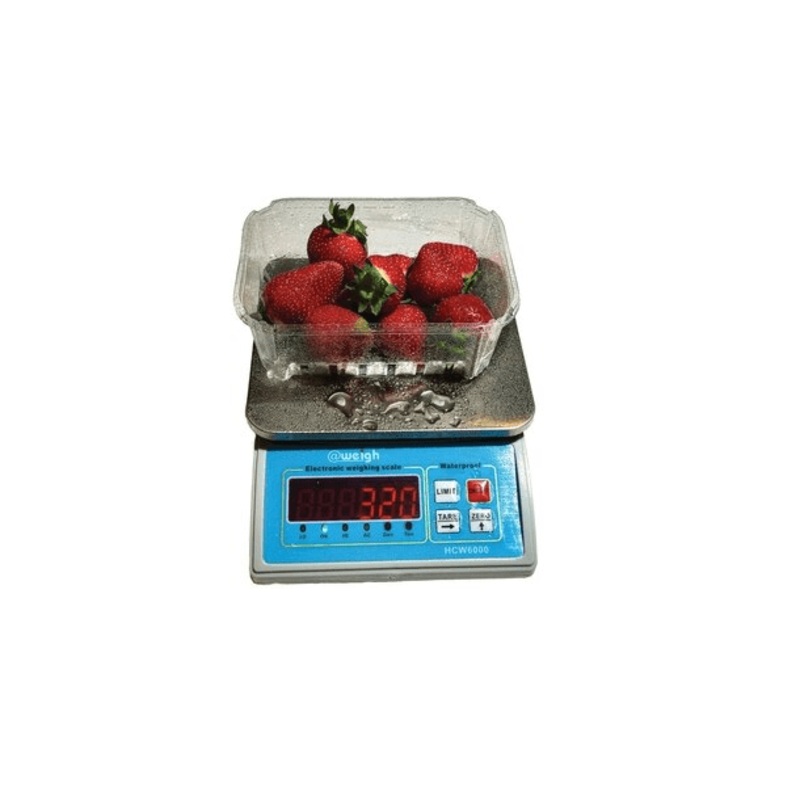 HCW6000 6kg x 1g Waterproof Portion Scale - IC-HCW6000