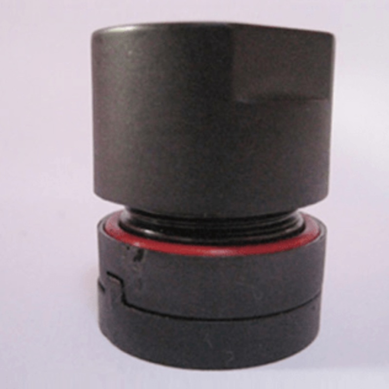 Thermochron Capsule